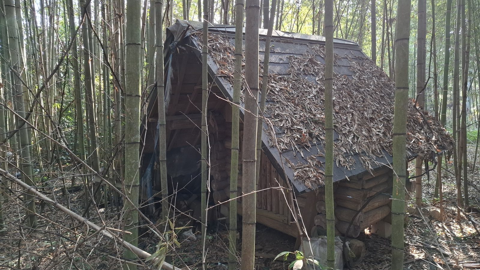 O casă goală (akiya) în Hikari, prefectura Yamaguchi, Japonia, în 2026